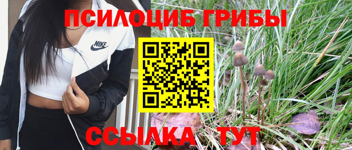 Псилоцибиновые грибы Psilocybe  Вход с VPN  Екатеринбург 